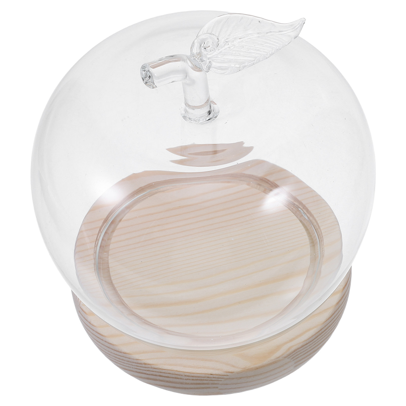 Cam Kubbe Şeffaf Teşhir Kubbes - Plastic Dome Clear incelemesi ve fiyatı